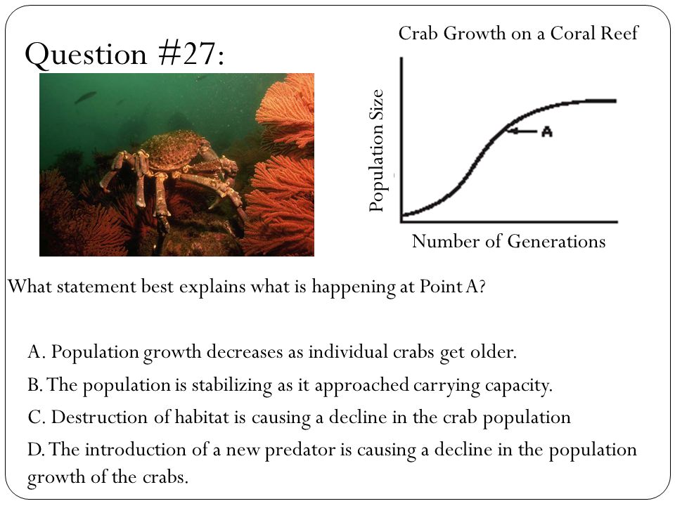 The decreasing population of crab